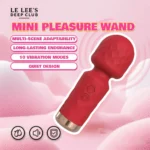 s Mini Pleasure Wand Waterproof Portable